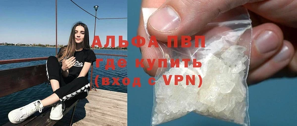 сатива Липки