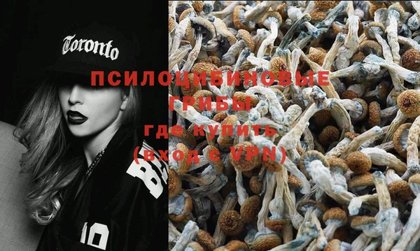 мдпв Лабытнанги