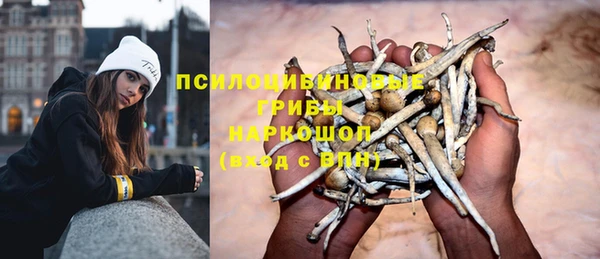 гидра Лиски