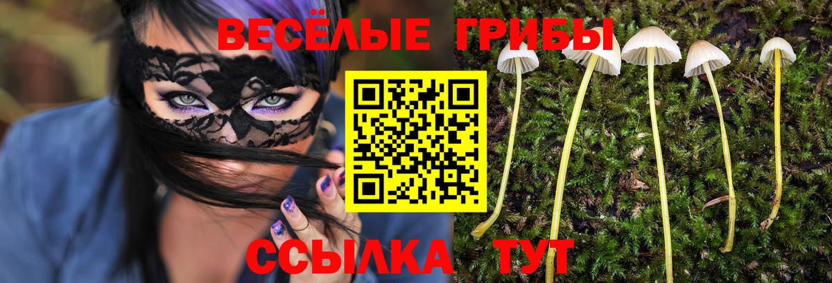 Мирный  Псилоцибиновые грибы Psilocybe  Вход с VPN 